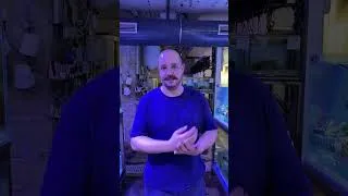 Miniature : Christophe 🐠 les coulisses du Musée