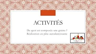 Miniature : De quoi est composée une graine ?