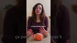 Miniature : Quels sont les coûts au moment de l’adoption d’un chat ?