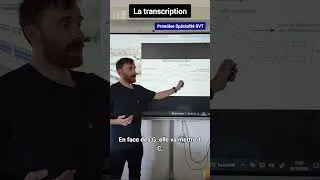 Miniature : La transcription de l'ADN