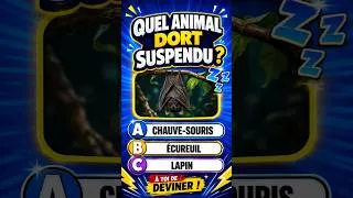 Miniature : Quiz Animaux Tu Connais les Animaux  🦅 #shortsanimaux