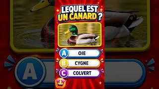 Miniature : Quiz Animaux Seulement 1 % Réussit 🐘 #shortsanimaux