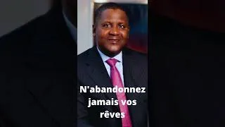 Miniature : N'abandonnez jamais vos rêves