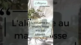 Miniature : Allégorie - Paul Verlaine - French poem #apprendrelefrancais #frenchpoetry