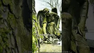 Miniature : 🌳⚰️ Il y a que moi qui aime me balader au Père-Lachaise ? #cimetière #cimetiereperelachaise #PARIS