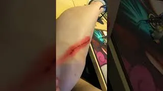 Miniature : POV : living with a cat is dangerous ⚠️😻🐾 #JessicaEtSakura #chat #cat #lifewithcats #catshorts