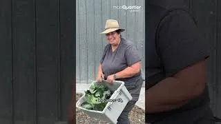 Miniature : Au cœur d’une ferme maraîchère