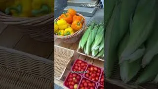 Miniature : Marché Provisions : 6 mois après