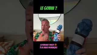 Miniature : Un gobi? Quand un homme provençal raconte en podcast ses aventures tricot 🧶 forcément ça dérape 🤣