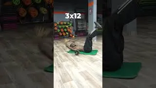 Miniature : 🔥 Des Abdos en Béton