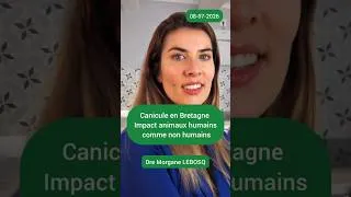 Miniature : impact des canicules chez les animaux non humains et notamment la faune sauvage