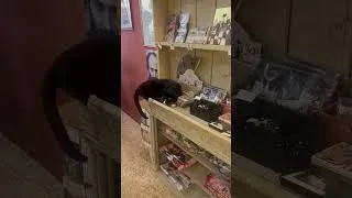 Miniature : La douceur de vivre à Aix-en-Provence 🥐