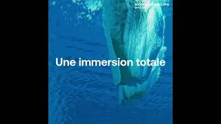Miniature : Offre de stage - Conseil en recrutement F/H - Luxembourg