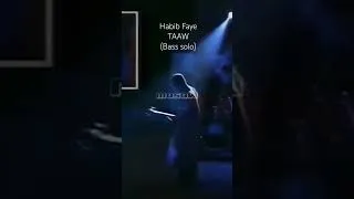 Miniature : Habib Faye | TAAW | Bass solo | 1991