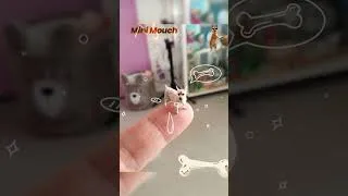 Miniature : Mini Mouch
