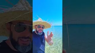 Miniature : ‏تونس الغالية❤️🇹🇳 #tunisie #sousse #plage #tunisia ￼