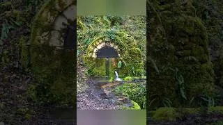 Miniature : Montée de Caillon, Floirac 46 Lot