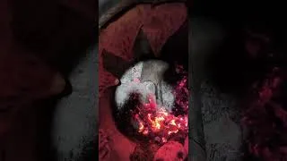 Miniature : Morning routine in the village, baking bread, tandoor bread, rural life in Afghanistan.