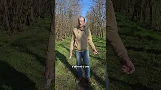 Miniature : 🌿 Gelées tardives : protégez vos cultures avec la valériane biodynamique !