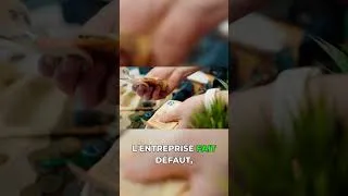 Miniature : Le LTV expliqué: Protégez votre argent avec ce ratio!