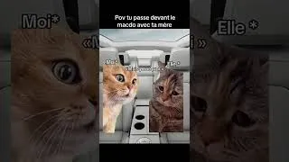 Miniature : videoplayback 54