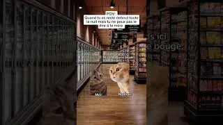 Miniature : POV : Quand tu es resté debout toute la nuit mais tu ne peux pas le dire à ta mère 😭