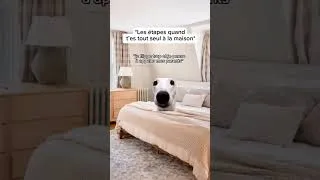 Miniature : POV : Les étapes quand tu es tout seul à la maison 🤣
