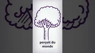 Miniature : Ref de philo sur conscience / inconscient : Leibniz