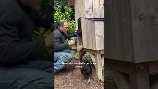 Miniature : Installer une porte automatique sur son poulailler 🛠️🐓