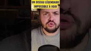 Miniature : L’OISEAU LE PLUS RARE AU MONDE !! #shorts #facts #animal