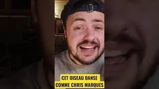 Miniature : L’OISEAU LE PLUS RARE AU MONDE DANSE ! #shorts #oiseaux #facts
