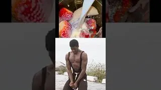 Miniature : Smoothie sein Pour la Musculation rapide #viralvideo #workout #fitness #shorts