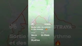 Miniature : Sprint final sur le Boulevard Thomas Voeckler ! 🔥🚴‍♂️ | Circuit de l'Avenir #pourtoi