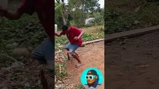 Miniature : IL EST CROYAIT ETRE LE PLUS FORT🤣🤣🤣 #funnyvideos #viralvideo  #humor#essayezdenepasrire