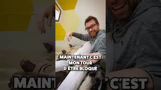 Miniature : Mon 1er Pig Café au Japon