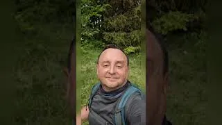 Miniature : 17 мая 2026 г.