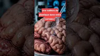 Miniature : Une cuillère de plastique dans votre cerveau !