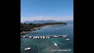 Miniature : Sneak peak to the MARRES Universe - Lerins 1