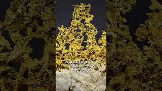Miniature : ✨ Une pépite d'or géante de 5 kg ! #Mineraux #or #gold #quartz #science #géologie #physique #chimie