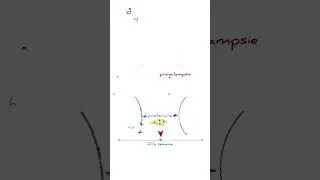 Miniature : Hypertension et grossesse, Preeclampsie #science #biology