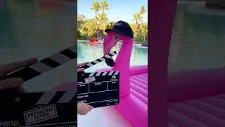 Miniature : 🚨 C'est parti pour le tournage de la saison 3 de Frenchie Shore! #shorts #frenchieshore #téléréalité