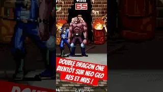 Miniature : Double Dragon ONE by "La Casa De Ruivo" coming on Neo Geo AES and MVS !