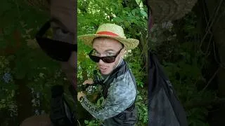 Miniature : Il y a un monstre dans cette petite rivière ! #fishing #catfish #peche