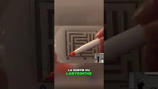 Miniature : Le Blob, ce Champion qui optimise ses trajets mieux que nous !