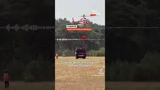 Miniature : La solidarité,  une force invincible !