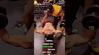 Miniature : Flat bench dumbbells fly #shorts