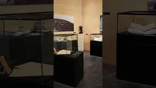Miniature : Centenaire: Le musée sort de sa réserve | Teaser