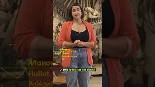Miniature : QUAND LES GÉANTS AVAIENT DES DENTS -  Manon Hullot, paléontologue #animaux #science #paleontologie