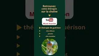Miniature : La nature soigne vos oreilles #acouphènesolution #musicevasion