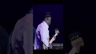 Miniature : Tu entends ça ? 🎶 | Marcus Miller #jazz #bass